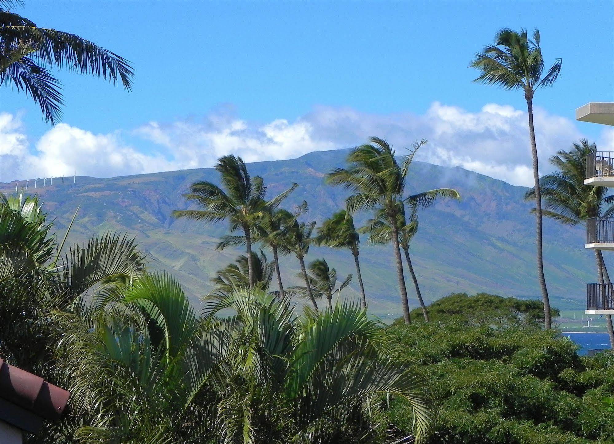 Luana Kai Resort Kihei Exteriör bild